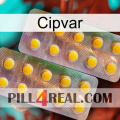 Cipvar new10